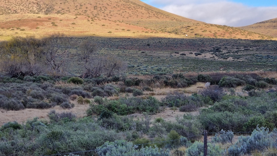 0 Bedroom Property for Sale in Middelburg Eastern Cape